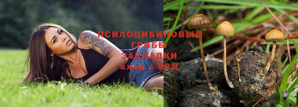 COCAINE Карпинск