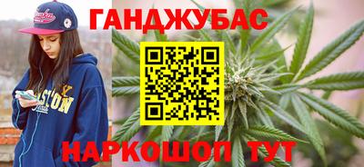 прущие грибы Усть-Джегута