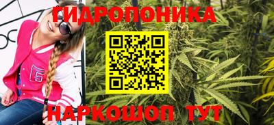 шишки Чебоксары