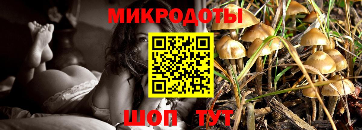 Снежинск  Псилоцибиновые грибы MAGIC MUSHROOMS  Галлюциногенные грибы Psilocybine cubensis  Вход с VPN 